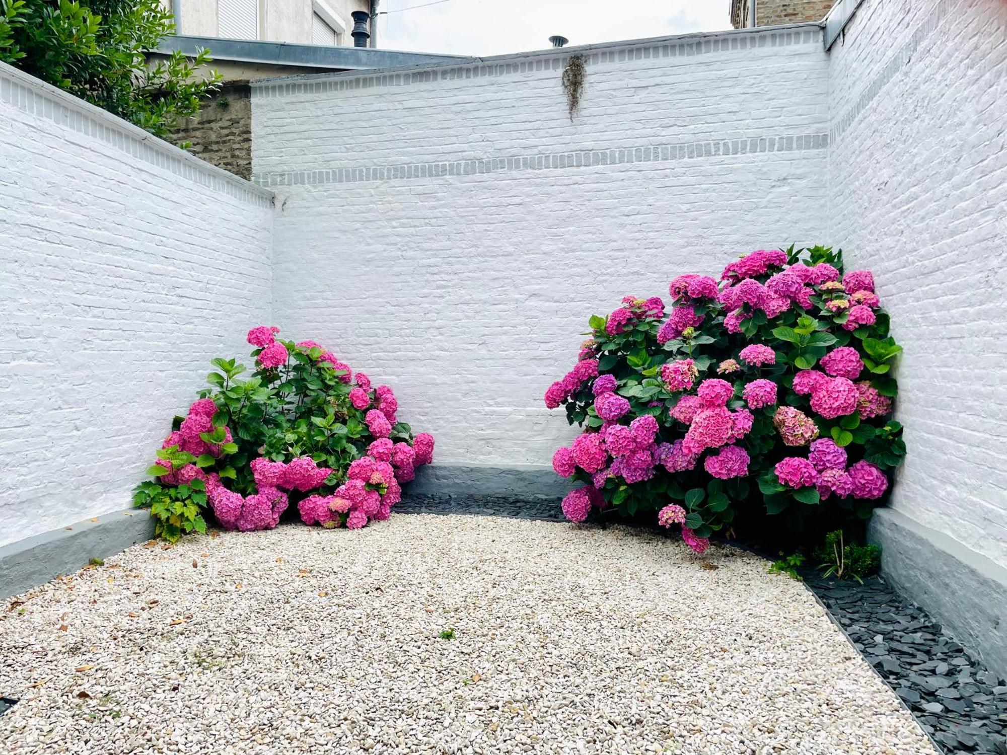 Jardins De Castille - 200M De La Gare - Home Cinema Amiens Eksteriør billede